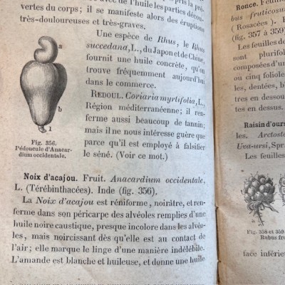 Eléments de matière médicale - Par Soubeiran - Livre ancien de 1878