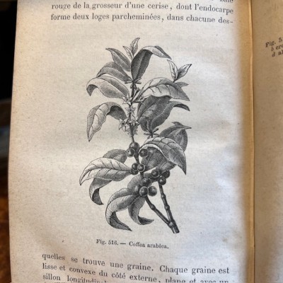 School of Pharmacy -Elements of Medical Science-Botanical antique book