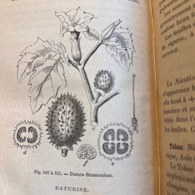 Eléments de matière médicale - Par Soubeiran - Livre ancien de 1878