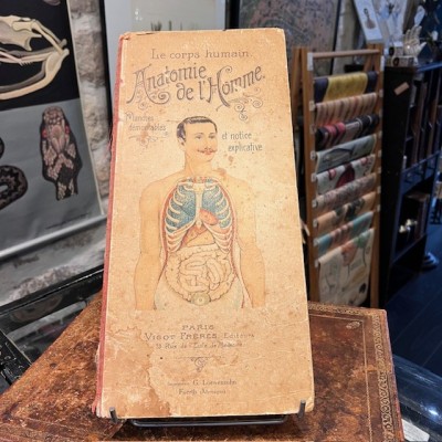 Planche démontable - Anatomie de l'Homme par VIGOT Frères - 1900