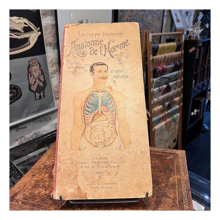 Planche démontable - Anatomie de l'Homme par VIGOT Frères - 1900