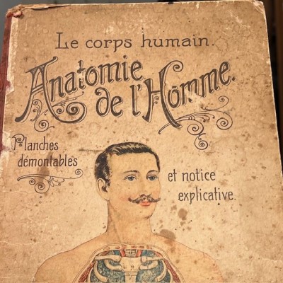 Planche démontable - Anatomie de l'Homme par VIGOT Frères - 1900