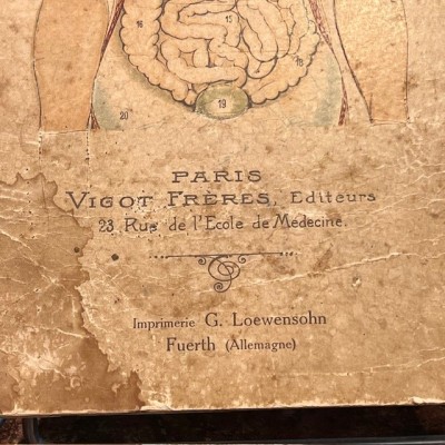 Planche démontable - Anatomie de l'Homme par VIGOT Frères - 1900