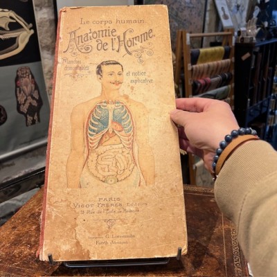 Planche démontable - Anatomie de l'Homme par VIGOT Frères - 1900
