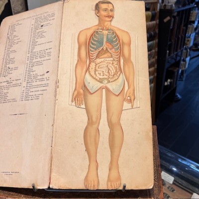 Planche démontable - Anatomie de l'Homme par VIGOT Frères - 1900