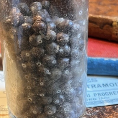 Quinine Extract Pills - Antique pharmacy bottle - Apothecary