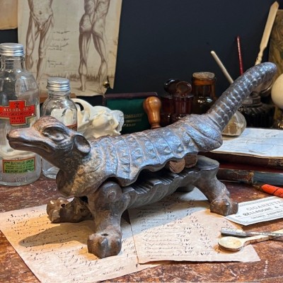 Armadillo - Pharmacy corkscrew in cast iron - XIXth century