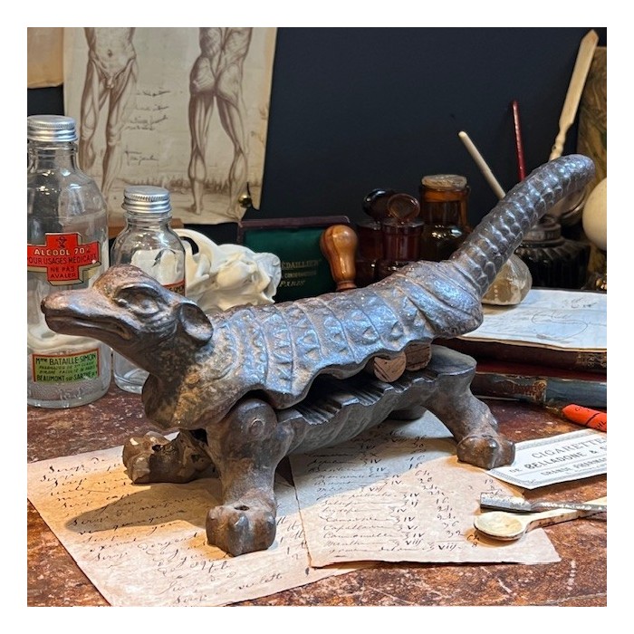 Armadillo - Pharmacy corkscrew in cast iron - XIXth century