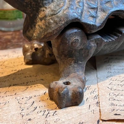 Armadillo - Pharmacy corkscrew in cast iron - XIXth century