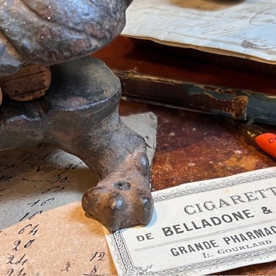 Tatou - Mâche-bouchon de pharmacie en fonte - XIXème siècle