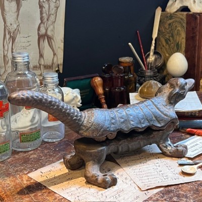 Armadillo - Pharmacy corkscrew in cast iron - XIXth century