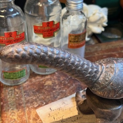 Armadillo - Pharmacy corkscrew in cast iron - XIXth century
