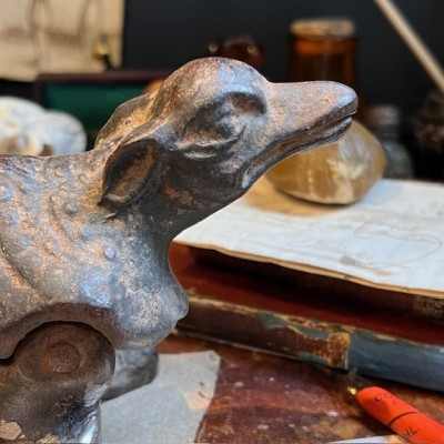Armadillo - Pharmacy corkscrew in cast iron - XIXth century