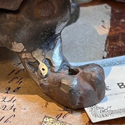 Armadillo - Pharmacy corkscrew in cast iron - XIXth century