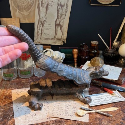 Armadillo - Pharmacy corkscrew in cast iron - XIXth century