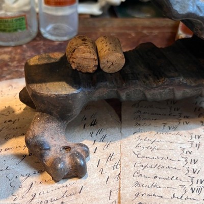 Armadillo - Pharmacy corkscrew in cast iron - XIXth century