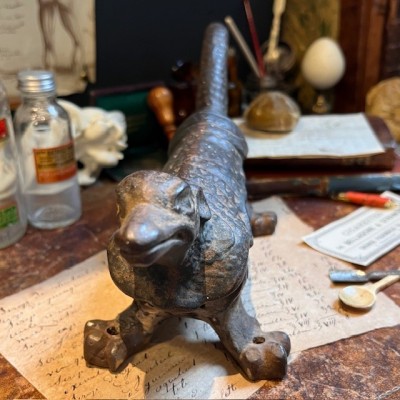 Armadillo - Pharmacy corkscrew in cast iron - XIXth century