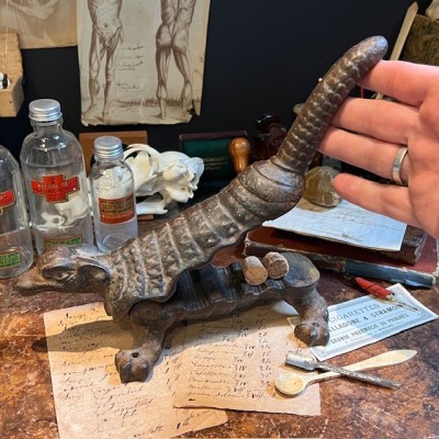 Armadillo - Pharmacy corkscrew in cast iron - XIXth century