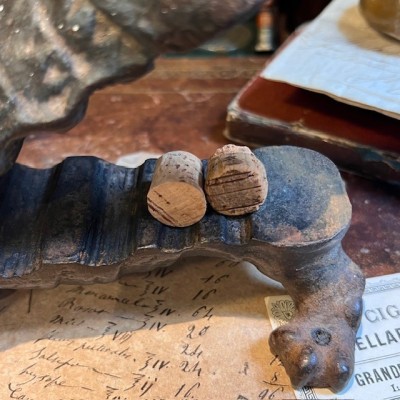 Armadillo - Pharmacy corkscrew in cast iron - XIXth century