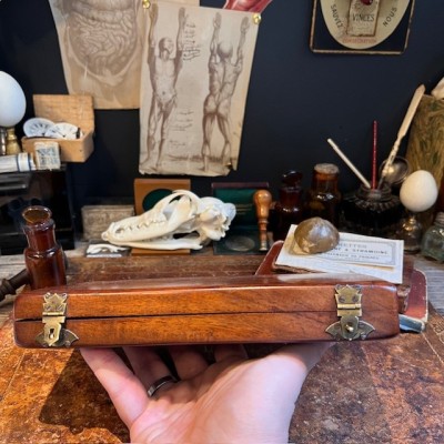 Portable autopsy kit - Mid-19th century - Maison Charrière - Paris
