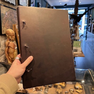 Artist's sketchbook - Leather binding - Photo album - Herbarium