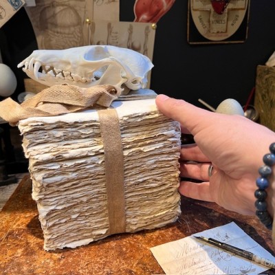 Bloc de papier 250 feuilles vierges - Serre-Livres Maison Merci Louis