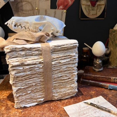 Bloc de papier 250 feuilles vierges - Serre-Livres Maison Merci Louis