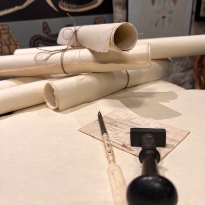Large sheet of aged blank paper