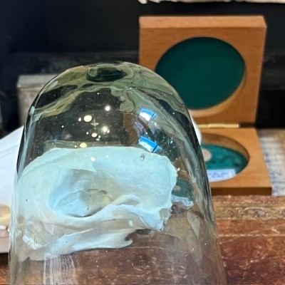 Cloche en verre ancienne - Verre fin bullé - Apothicaire / Laboratoire