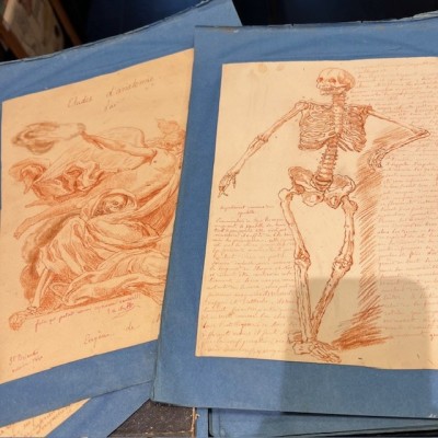 Red chalk - Anatomical drawing - Anatomical study - 1840
