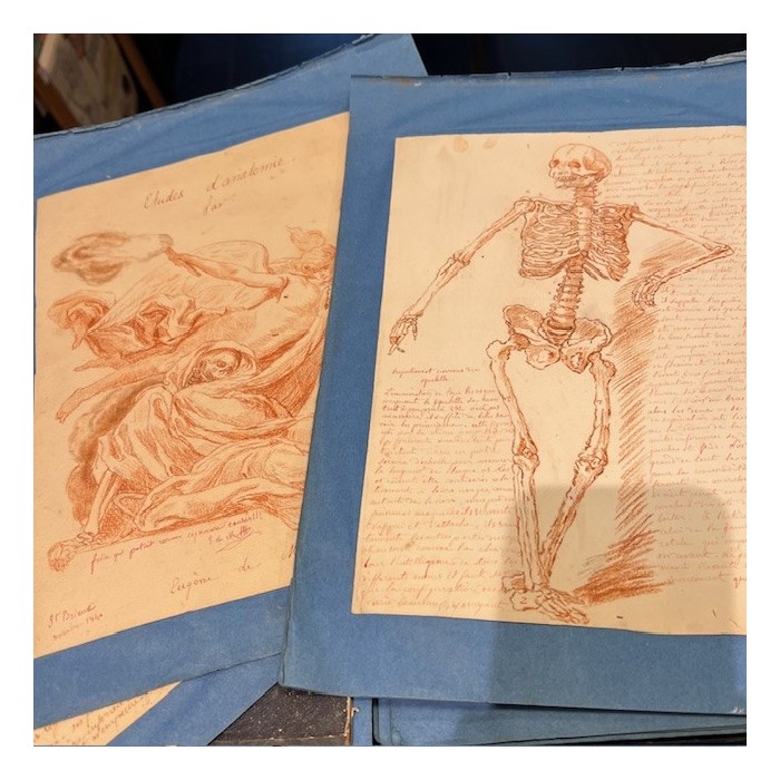 Red chalk - Anatomical drawing - Anatomical study - 1840