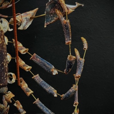 Homard européen - Eclaté à la Beauchêne sous vitrine de verre