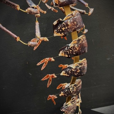 Homard européen - Eclaté à la Beauchêne sous vitrine de verre