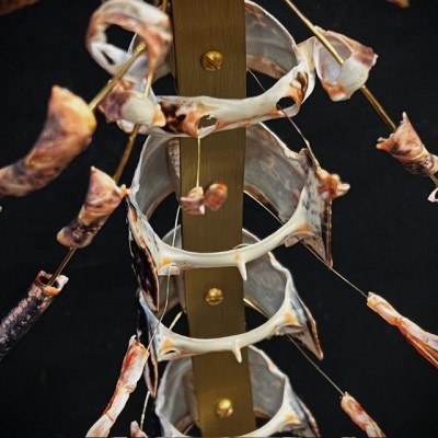 Homard européen - Eclaté à la Beauchêne sous vitrine de verre