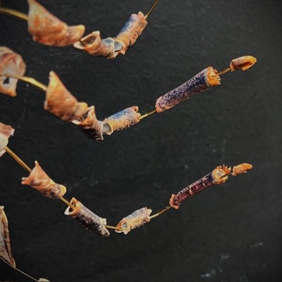 Homard européen - Eclaté à la Beauchêne sous vitrine de verre