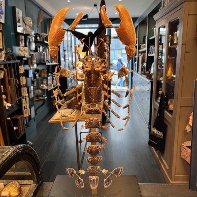 European lobster - Beauchêne explosion style under glass