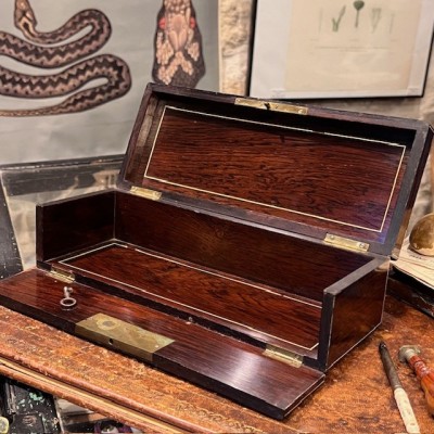 Antique Glove box - Rio rosewood - Brass & bone marquetry-Napoleon III