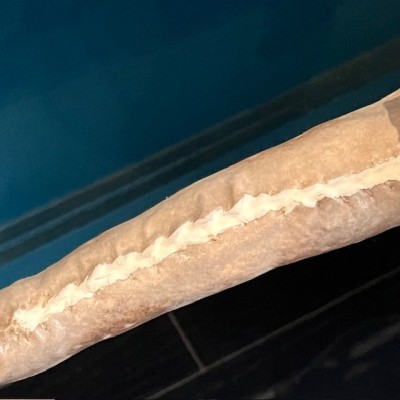 Requin Chabot Bambou naturalisé - Chiloscyllium punctatum