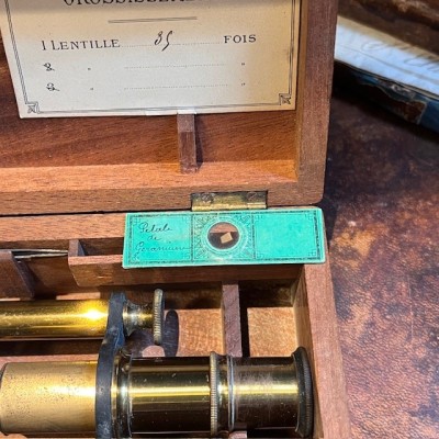 Brass straight column microscope - 19th century - Mahogany case Brass straight column microscope - 19th century - Mahogany case