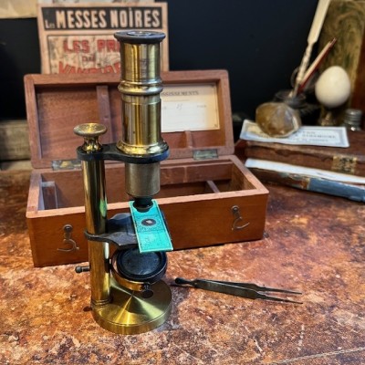 Brass straight column microscope - 19th century - Mahogany case