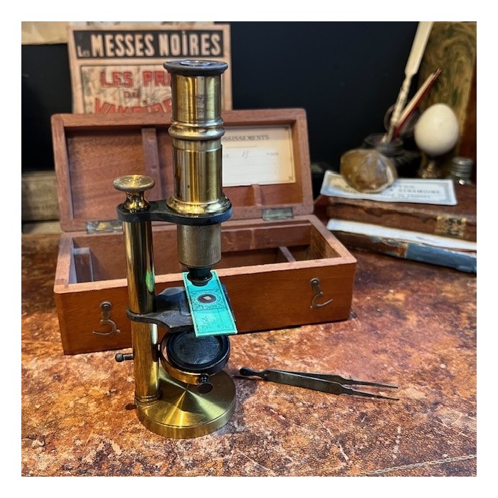 Brass straight column microscope - 19th century - Mahogany case Brass straight column microscope - 19th century - Mahogany case