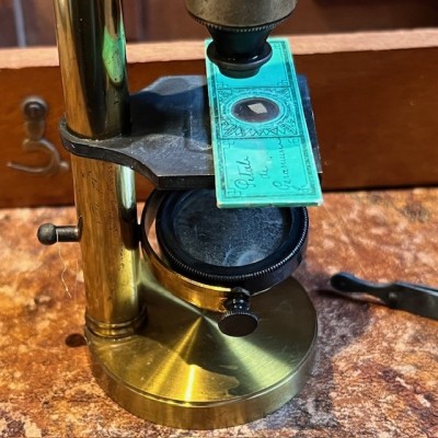 Brass straight column microscope - 19th century - Mahogany case Brass straight column microscope - 19th century - Mahogany case