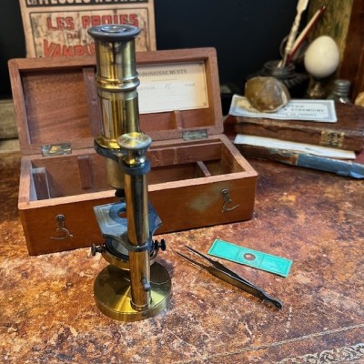 Brass straight column microscope - 19th century - Mahogany case Brass straight column microscope - 19th century - Mahogany case