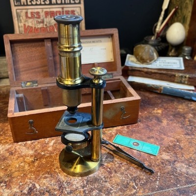 Microscope à colonne droite en laiton - XIXème siècle - Acajou Microscope à colonne droite en laiton - XIXème siècle - Acajou