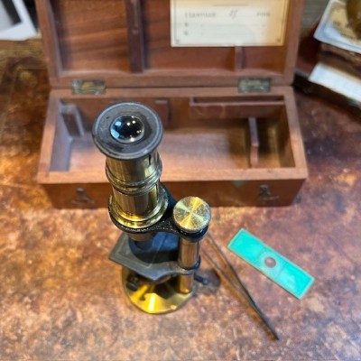 Brass straight column microscope - 19th century - Mahogany case Brass straight column microscope - 19th century - Mahogany case