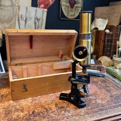 Brass straight column microscope with rack and pinion- 19th century