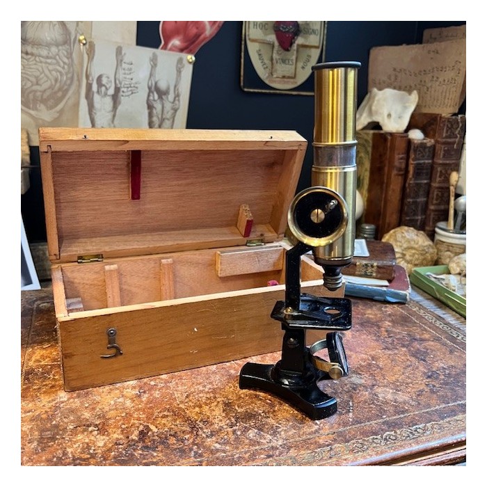 Brass straight column microscope with rack and pinion- 19th century Brass straight column microscope with rack and pinion- 19th century