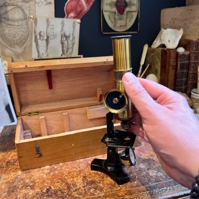 Brass straight column microscope with rack and pinion- 19th century Brass straight column microscope with rack and pinion- 19th century
