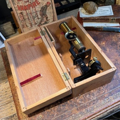 Brass straight column microscope with rack and pinion- 19th century Brass straight column microscope with rack and pinion- 19th century