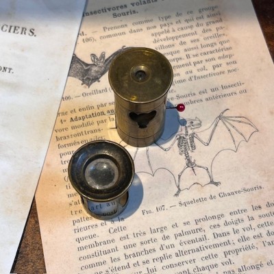 Microscope de poche - Floroscope - Insectoscope en laiton Microscope de poche - Floroscope - Insectoscope en laiton